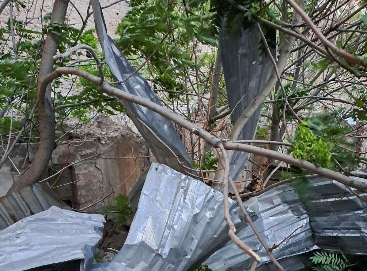Երևանում քամու հետևանքով կոտրվել են ծառեր, վնասվել թիթեղներ (ԼՈՒՍԱՆԿԱՐՆԵՐ)