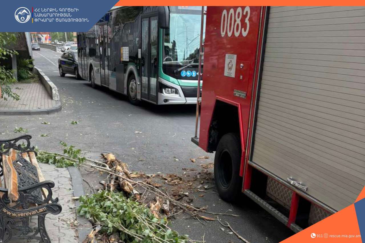 Ծառի ճյուղերը և նստարանը ընկել են քաղաքացու վրա