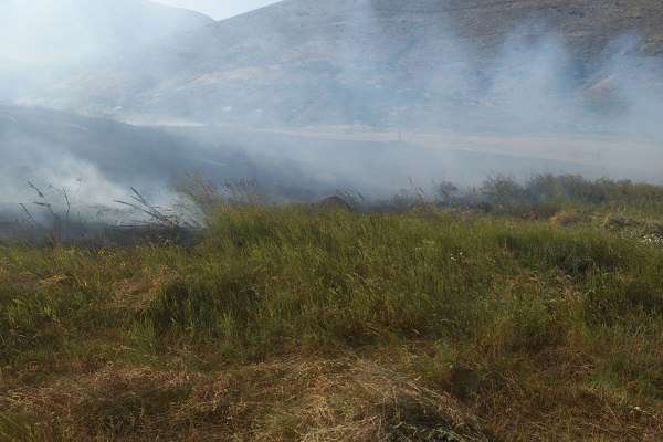 24 ահազանգ՝  խոտածածկ տարածքներում բռնկված հրդեհների մասին