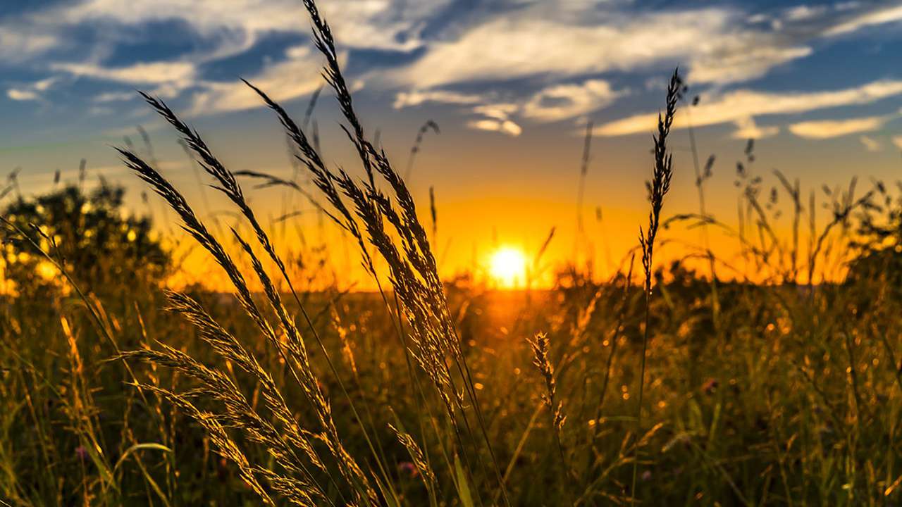 Прогноз погоды на ближайшие 5 дней