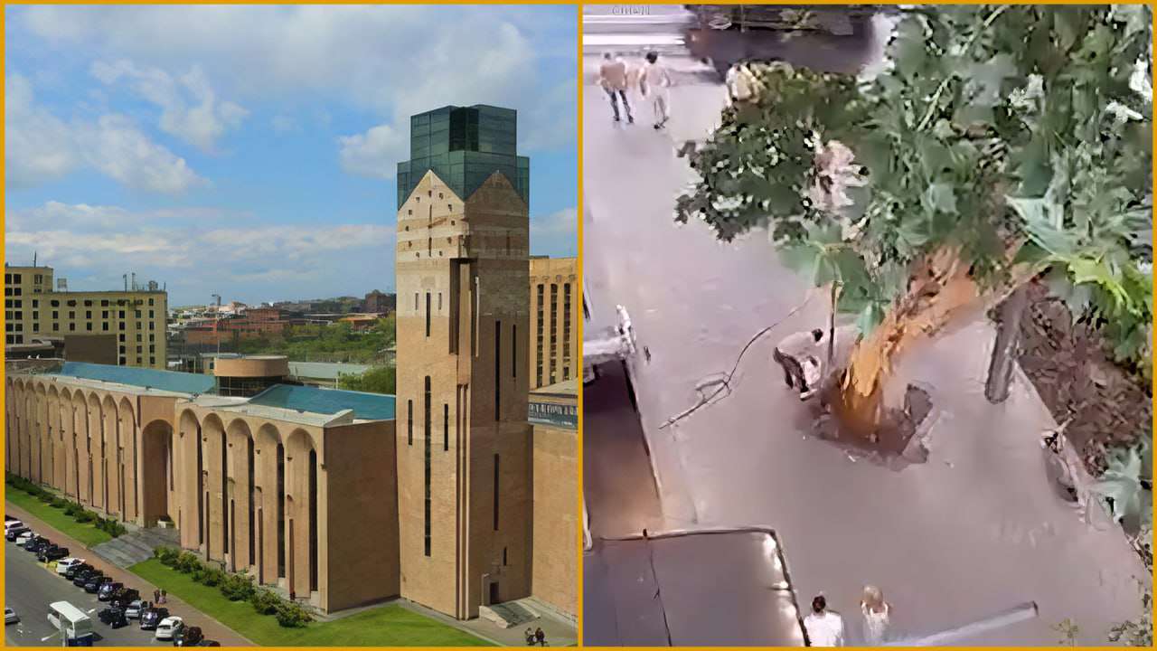 Անհայտ անձը մի քանի օր հեղուկանման զանգված է լցրել սոսի տեսակի ծառերի տակ