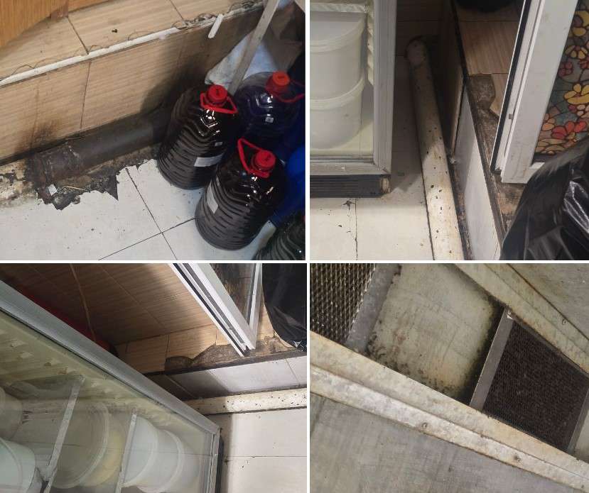 «Տաշիր Հոռեկա» ՍՊԸ-ին պատկանող հանրային սննդի օբյեկտի արտադրական գործունեությունը կասեցվել է