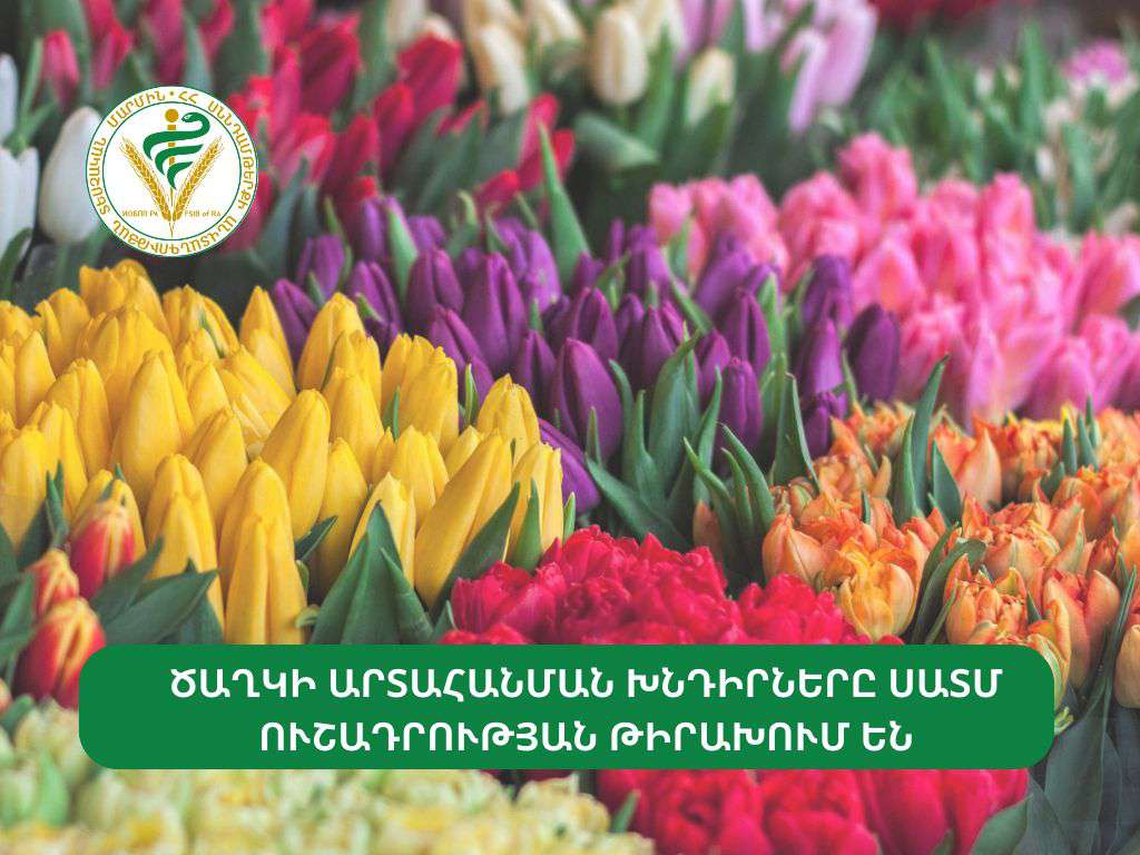 7 կազմակերպության թույլատրվել է ծաղկի արտահանումը. ՍԱՏՄ