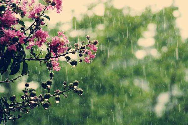 A chance of showers and thunderstorms