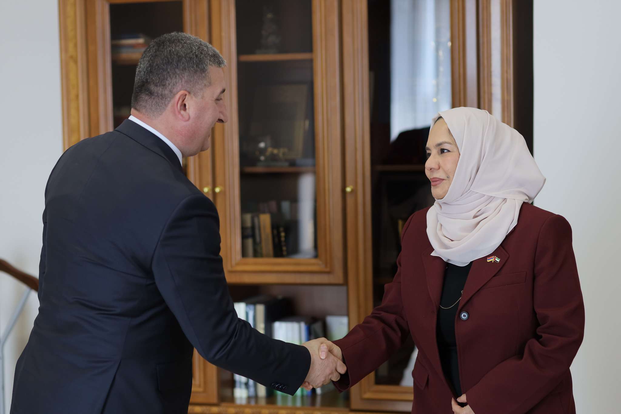 Gnel Sanosyan highlighted the existing cooperation with the UAE, especially in the energy sector