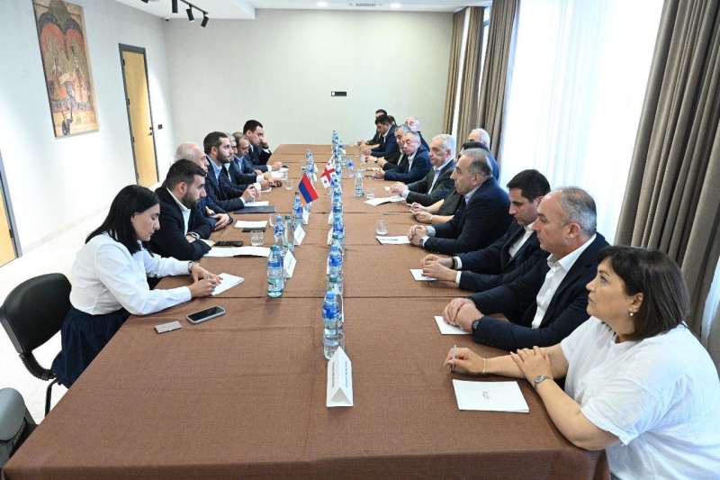 The delegation headed by Rubinyan met with the leaders of Aspindza, Akhalkalak, and Ninotsminda communities