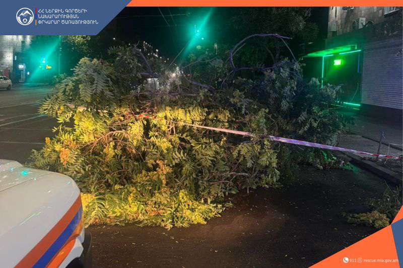 Քամու հետևանքով գրանցվել է 33 արտակարգ դեպք