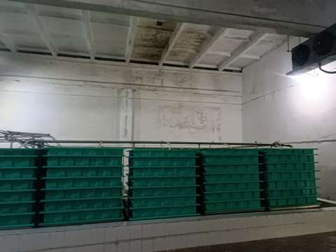 Ճամբարակում կասեցվել է պանրի արտադրամասի գործունեությունը