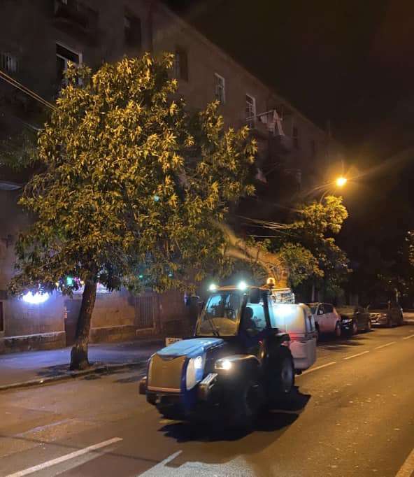 Երևանում ծառերի բուժման հիմնական գործընթացը կատարվում է գիշերային ժամերին (ՏԵՍԱՆՅՈՒԹ)