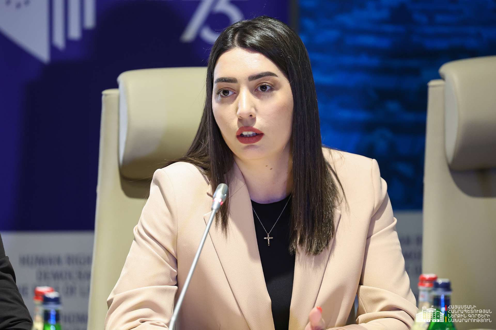 Հնարավոր չէ 30 տարի չփոփոխված համակարգը հարմարեցնել ժամանակակից պայմաններին․ ՆԳ նախարար