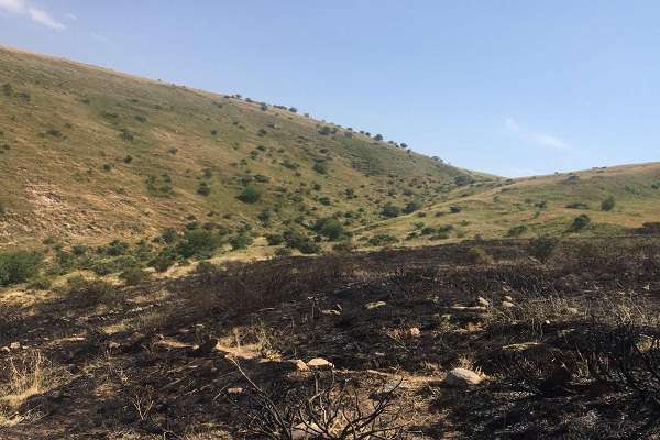 Հրշեջ-փրկարարները մարել են մոտ 14.5 հա խոտածածկ տարածքներում բռնկված հրդեհները