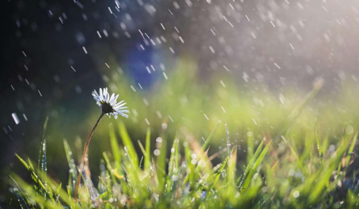Short-term rain and thunderstorms are expected in some areas