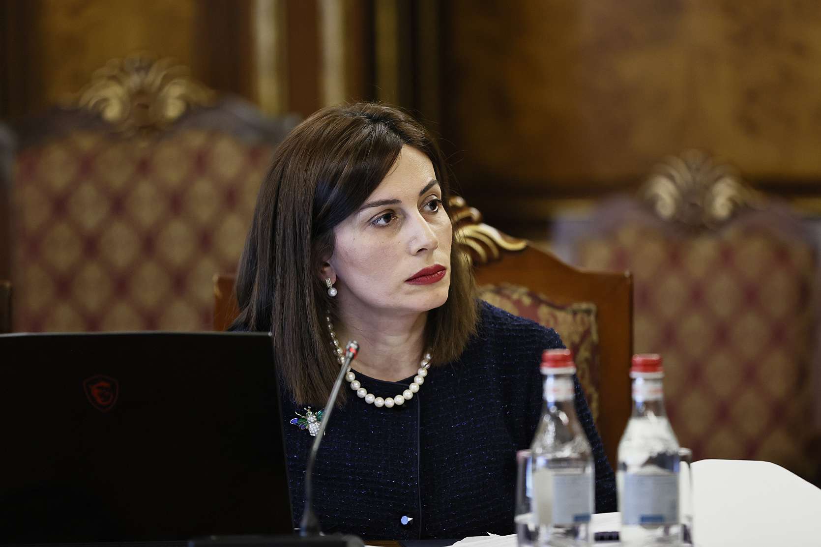 Անահիտ Ավանեսյանն արձակուրդ կմեկնի