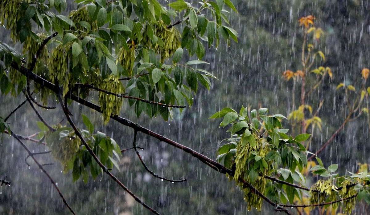 Short rain and thunder are expected in some regions of the republic