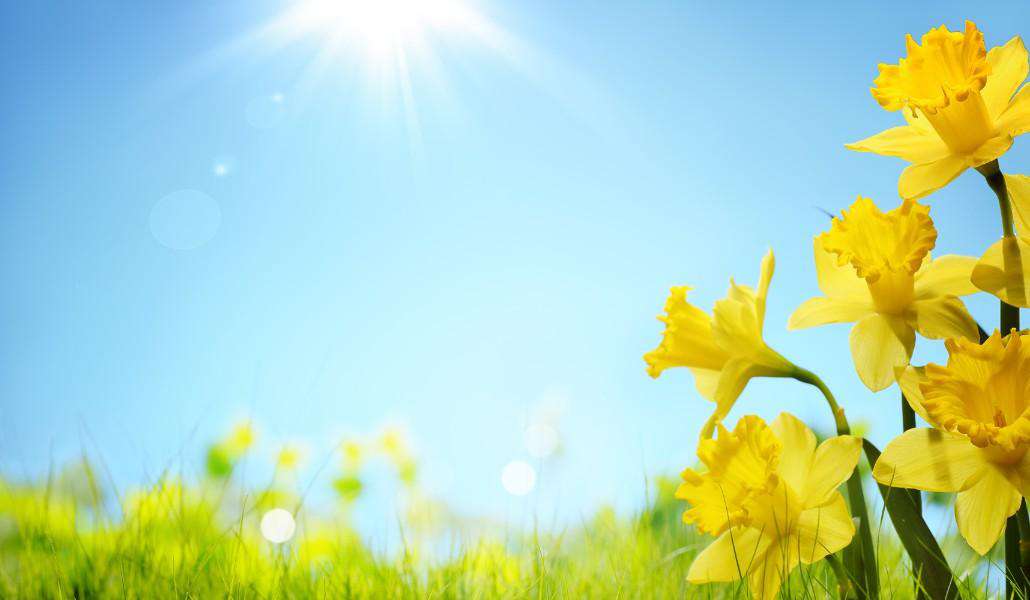 The air temperature will gradually rise by another 2-4 degrees