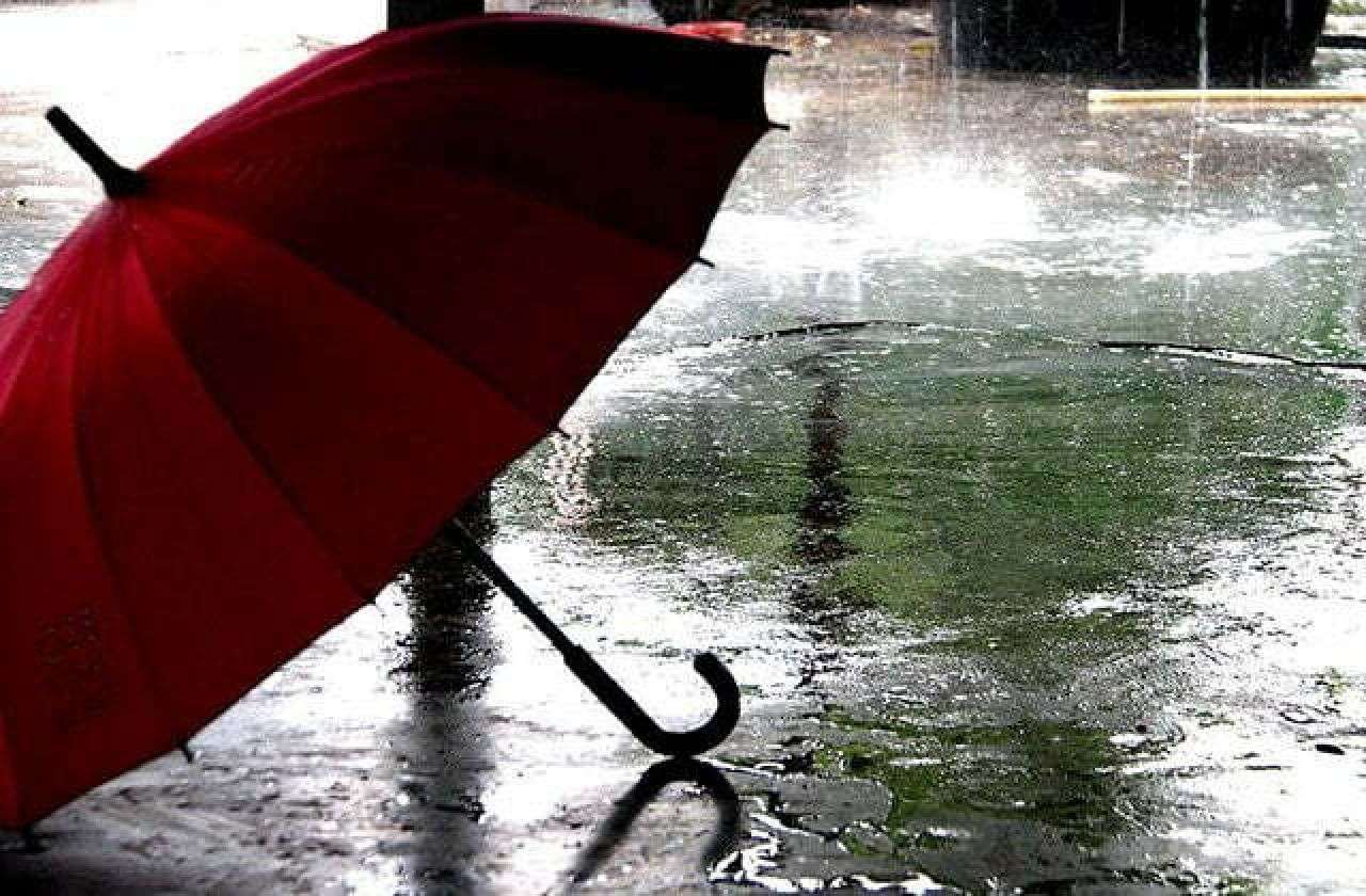 Showers and thunderstorms are expected