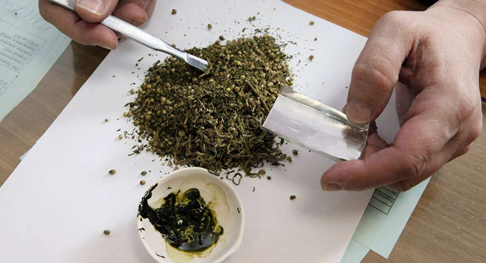 Աշտարակի ոստիկանները կանեփ աճեցնելու և ապօրինի թմրանյութ պահելու դեպք են բացահայտել (ՏԵՍԱՆՅՈՒԹ)