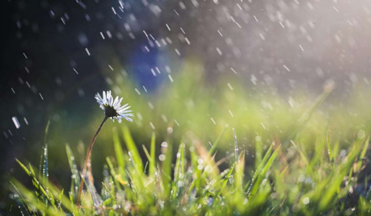 Precipitation is expected in some regions