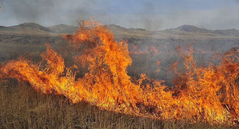 Հրդեհ է բռնկվել Մեղրի համայնքի Կալեր բնակավայրի անտառամերձ տարածքում