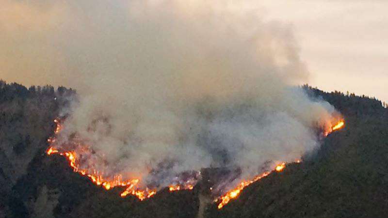 Բորժոմիի անտառները այրվում են (ՏԵՍԱՆՅՈՒԹ)