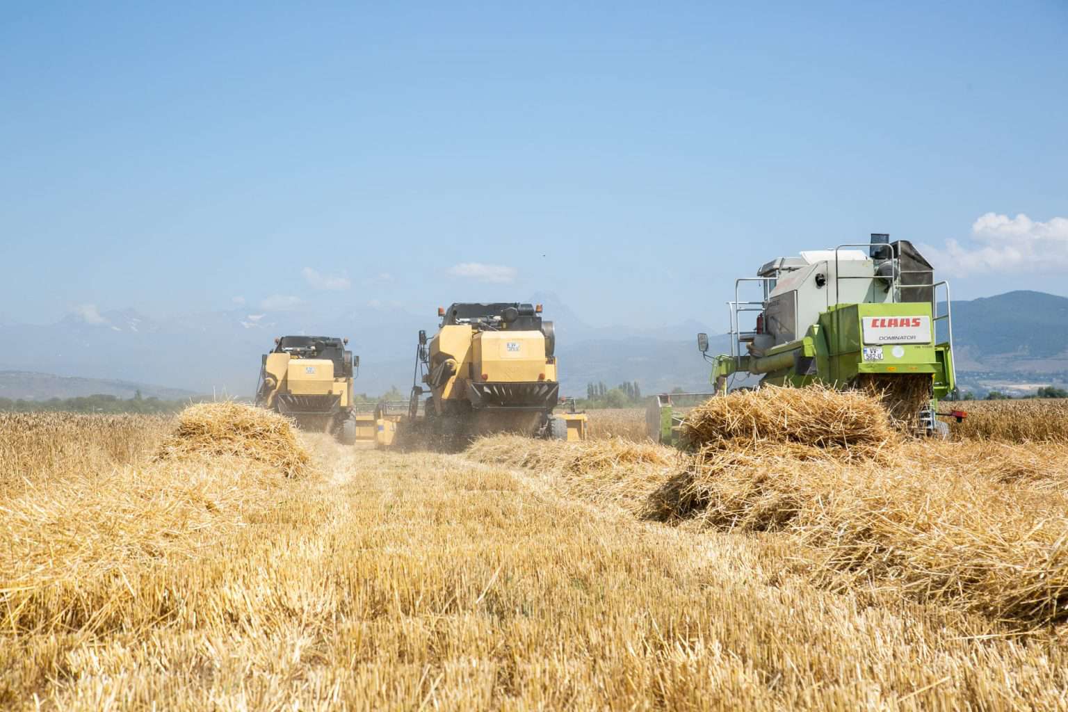 Georgia imports 90% of wheat from Russia