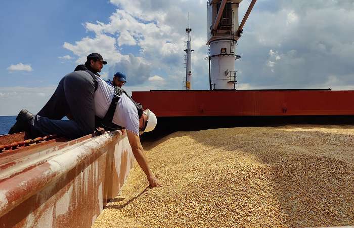 More than 721 thousand tons of grain were exported from Ukraine.