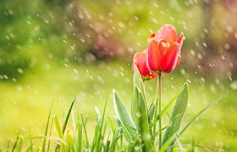 Առանձին շրջաններում սպասվում է կարճատև անձրև և ամպրոպ