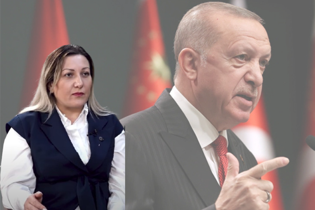 Turkey is interested in the end of the Russian-Ukrainian war. Turkologist
