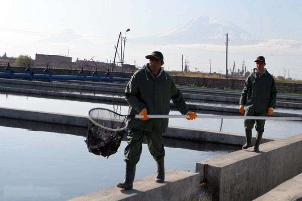 Ապօրինի ձկնորսության դեպք՝ Վայոց ձորում