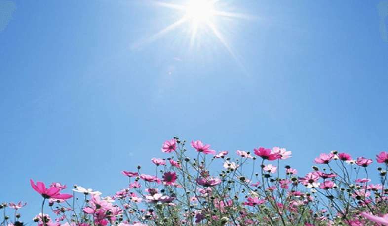 Weather without precipitation is expected, and the air temperature will rise