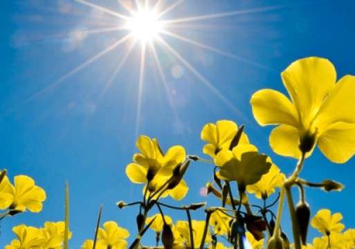 Precipitation-free weather and a hazardous fire situation are expected