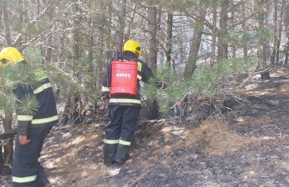 Այրվել է շուրջ 5000 քմ բուսածածկույթ