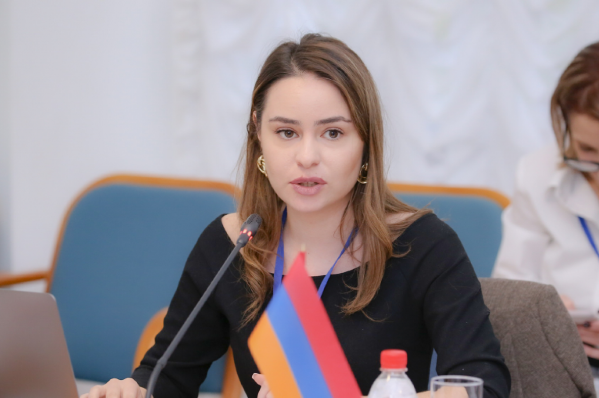 The opposition boycotting the NA works participates in the works of international delegations