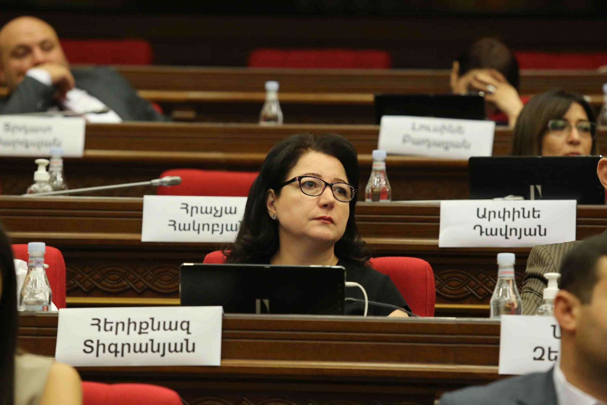 Թող բերեն աշխարհացունց օրենքներ․ Տիգրանյանը' ընդդիմադիրներին