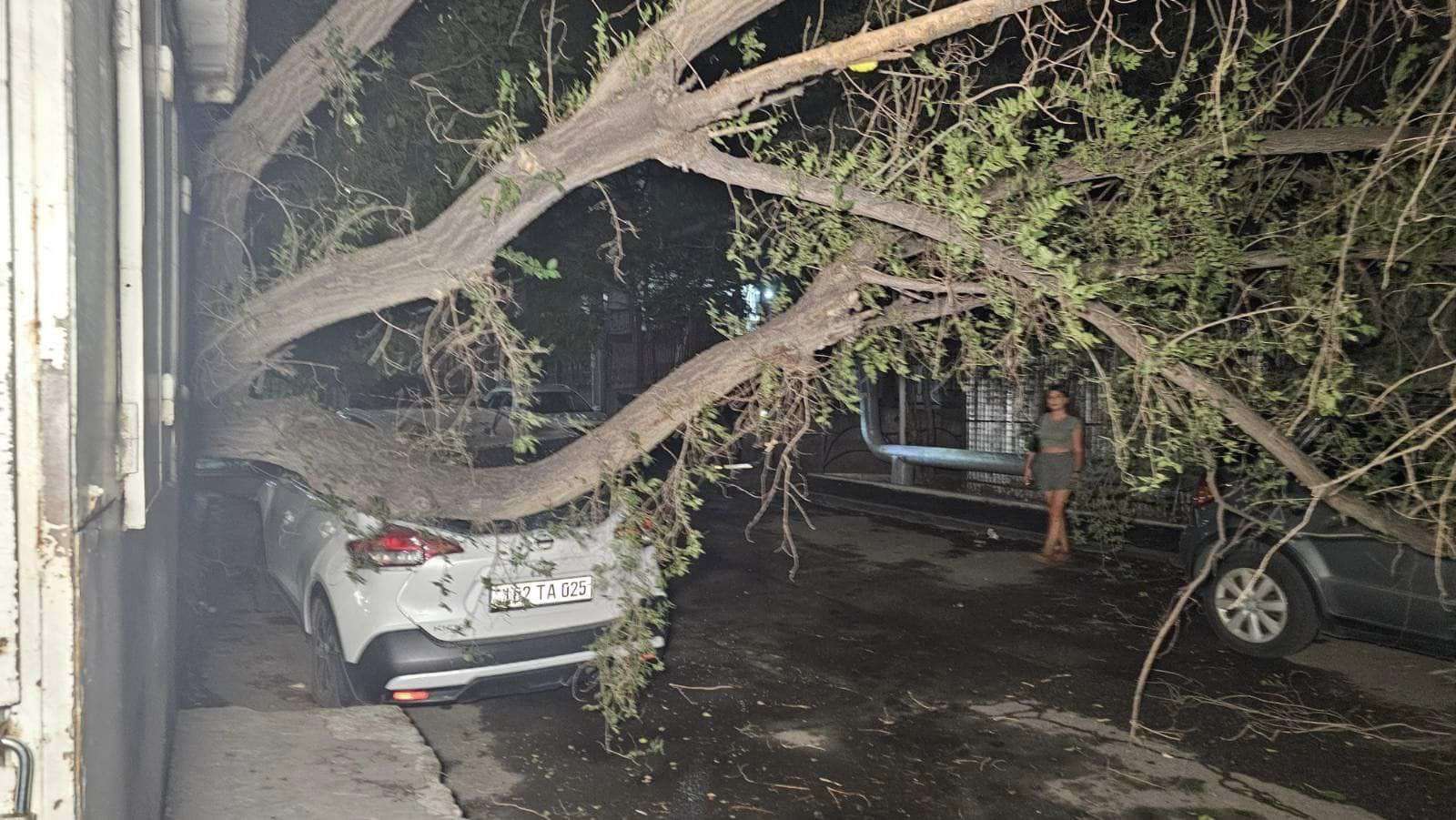 Ծառը տապալվել է կայանած ավտոմեքենաների վրա (ԼՈՒՍԱՆԿԱՐՆԵՐ)