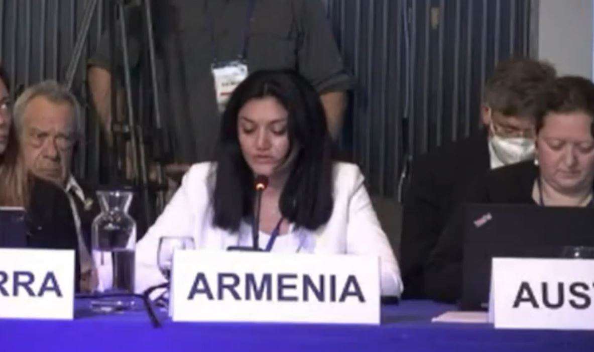 «Մինչ մենք քննարկում ենք՝ ինչպես առաջ շարժվել, հայերը պայքարում են իրենց կյանքի համար»․ Նանուշյանը՝ ԱՀԿ ամբիոնից