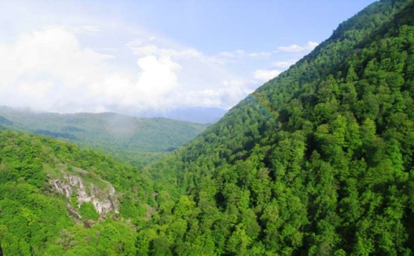 Կոտայքում անտառային ֆոնդի հողերի վերաբերյալ հայցերից 8-ով կայացվել են վճիռներ պետության օգտին