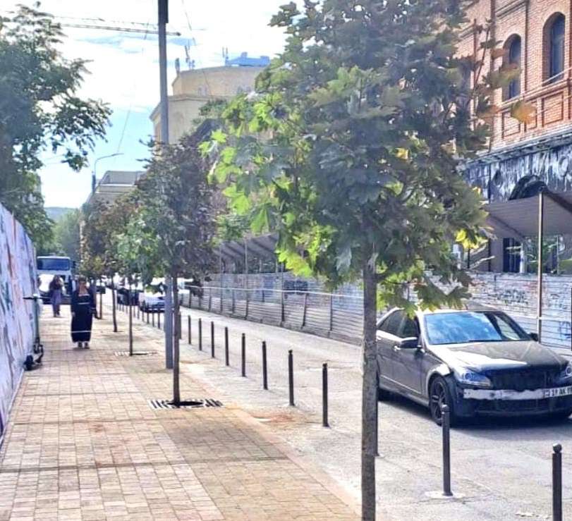 Արամի փողոցի վրա թխկիներ են տնկվել