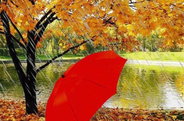 Precipitation is expected, and air temperature will drop