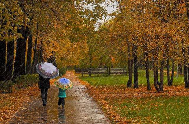 Precipitation hail is expected