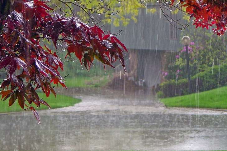 Rain and thunderstorms are expected