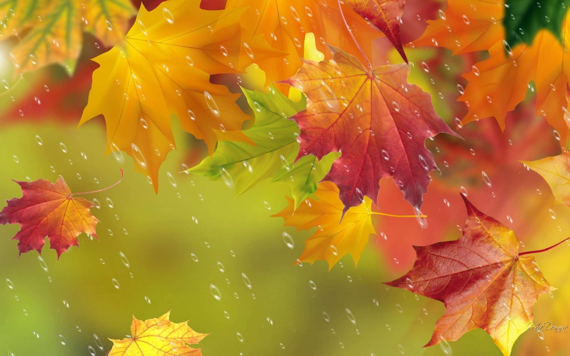 Occasional precipitation is expected in some regions