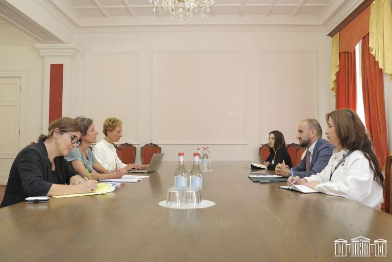 Sisak Gabrielyan discussed with the head of the office of the Council of Europe issues related to the reforms of the media sphere legislation