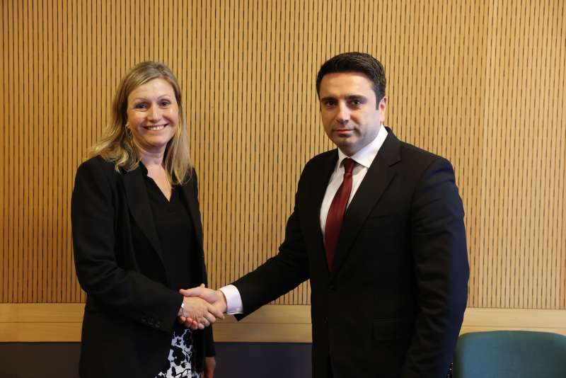 "France is the true ally of the Armenian people and Armenia". Alain Simonyan to the Speaker of the National Assembly of France