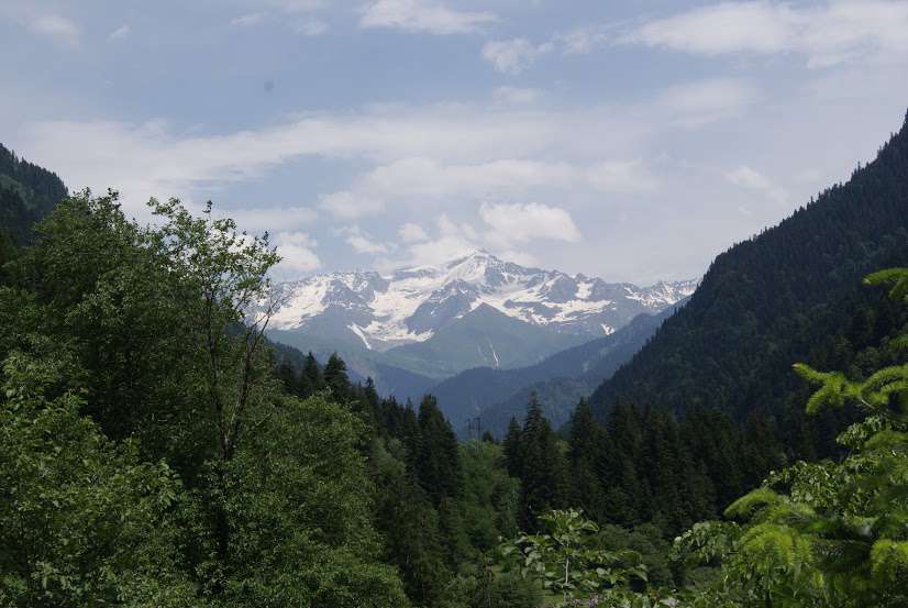 Փրկարարները հայտնաբերել են մոլորված քաղաքացուն