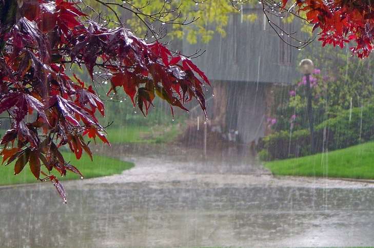Rain and thunderstorms are expected