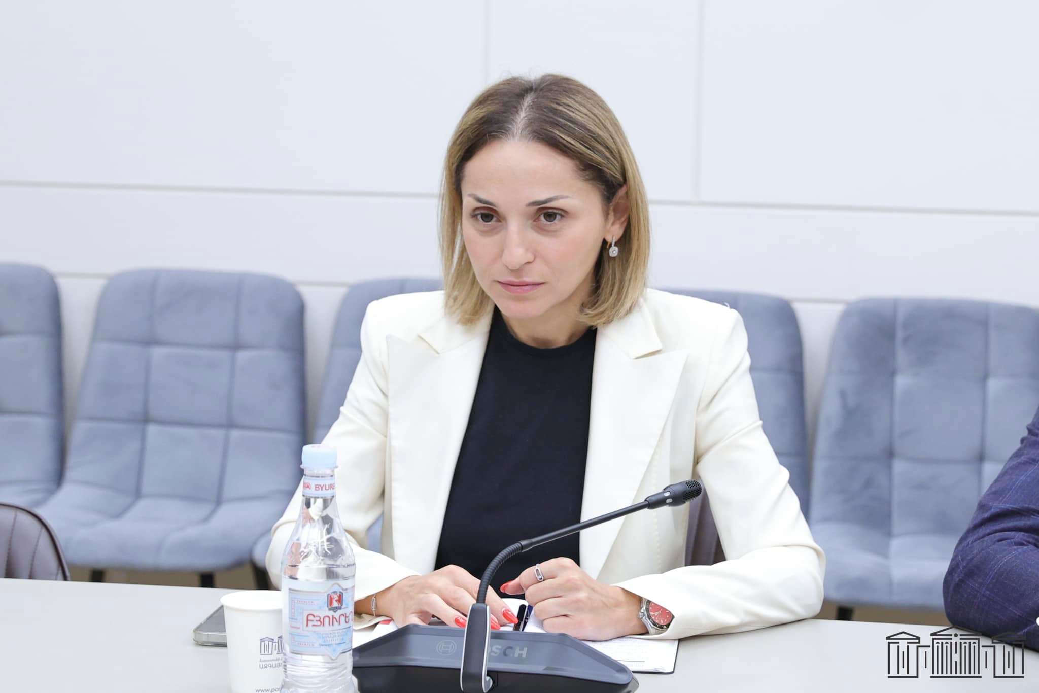 «Ծառայողական մեքենաներից օգտվում է նաև ձեր խմբակցությունը». Ծովինար Վարդանյան (ՏԵՍԱՆՅՈՒԹ)