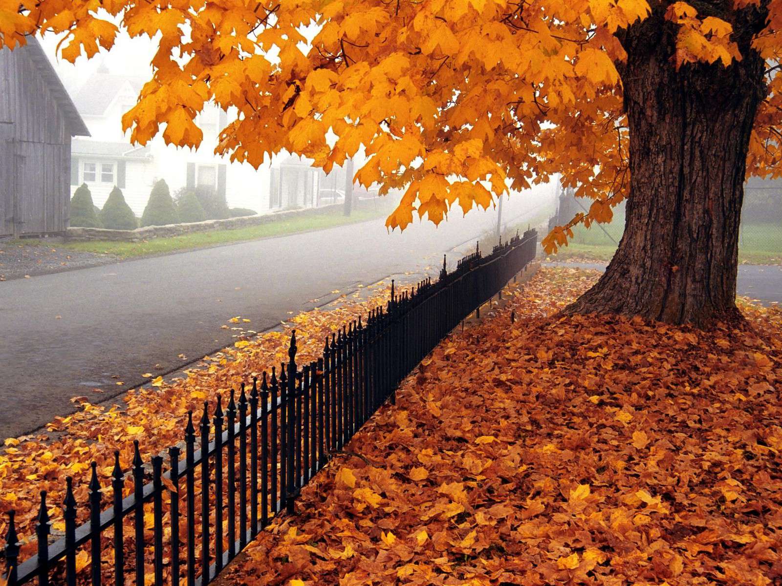 Weather without precipitation is expected