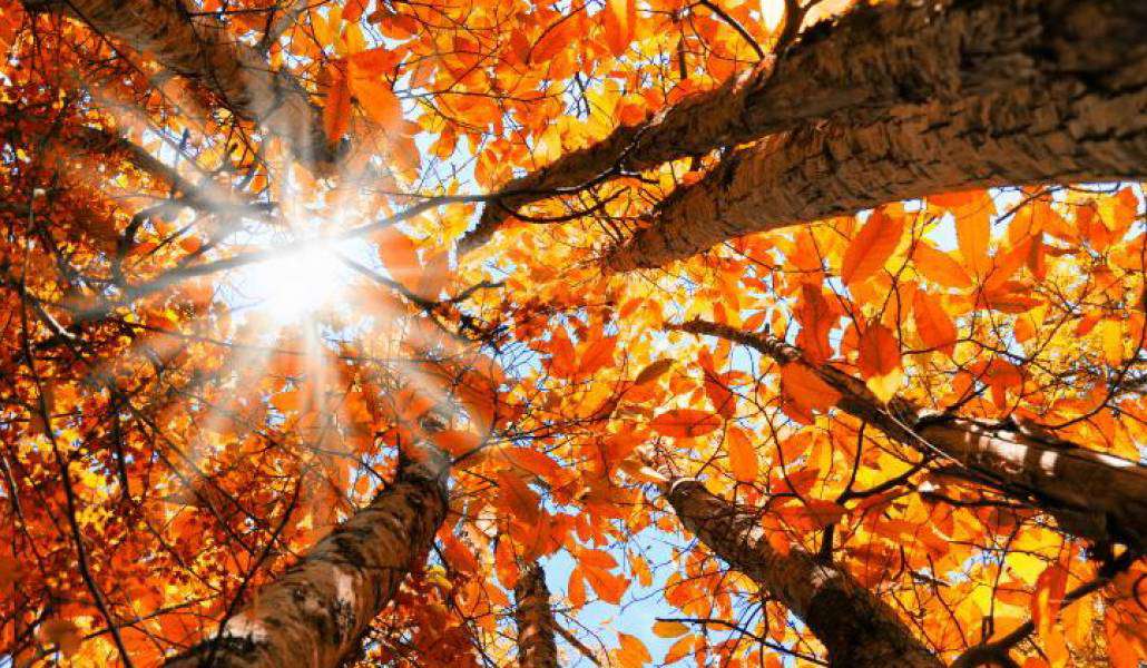 No precipitation is expected, the air temperature will rise