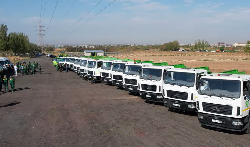 Երևանում մեկնարկել են չորացած ծառերի հատման աշխատանքները (ՏԵՍԱՆՅՈՒԹ)